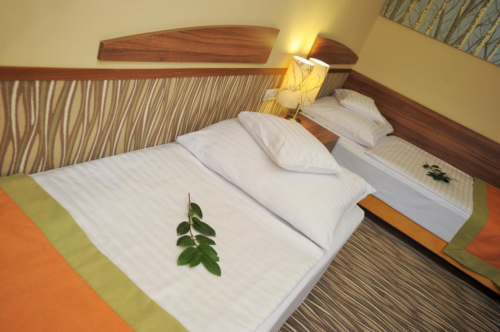 Park Hotel Gyula Kamer foto