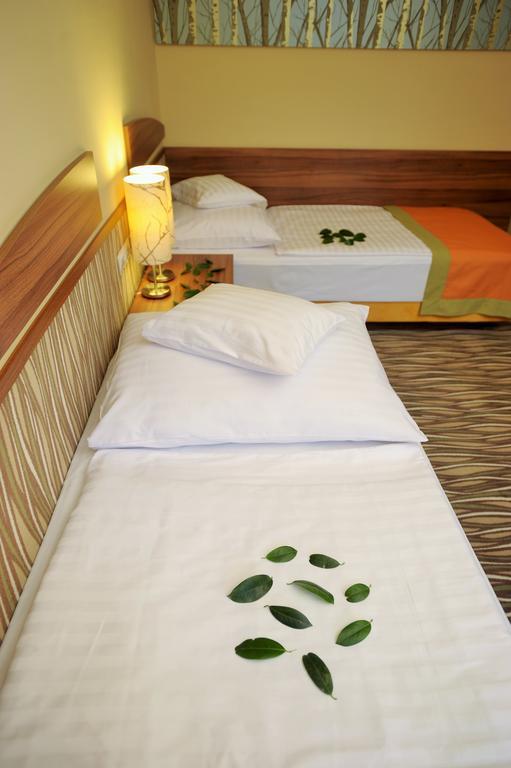 Park Hotel Gyula Kamer foto